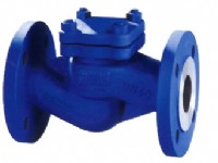 DIN de standard lift check valve