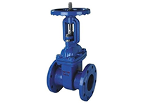 Z41X/RRHX open gate valve