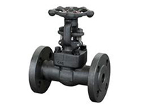 Z41H Z11H Z61H Forged steel gate valve