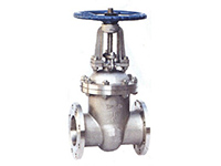 Stainless steel gate valve Z41W-16P