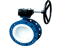 Flange fluorine butterfly valve D341J