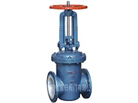 Z641F Z941F Z41F46 with a wedge type gate valve
